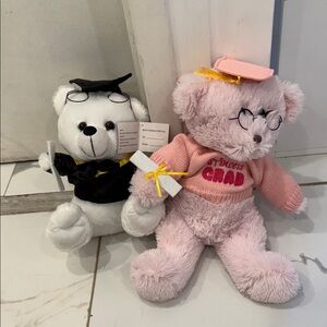 Pink 'Princess Grad' Plush Graduation Bear - Kids Toys